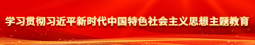 美女拿着大鸡巴插洞洞喷水网站学习贯彻习近平新时代中国特色社会主义思想主题教育